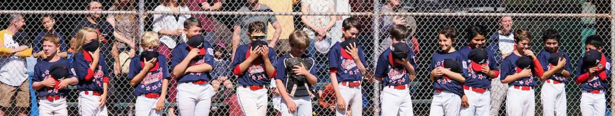 Welcome to Albany Little League